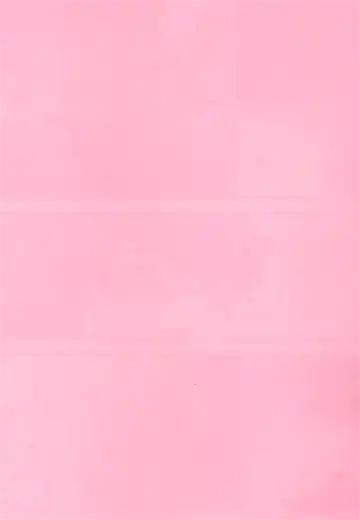 [Mushikera] Tolerance to Junshin - Tolerance and Pure Fhentai - Page 2