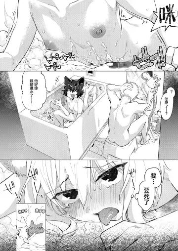 [Mafuyu Hemp] UR Neko-chans Life | UR小猫咪们的日常生活 Fhentai - Page 6