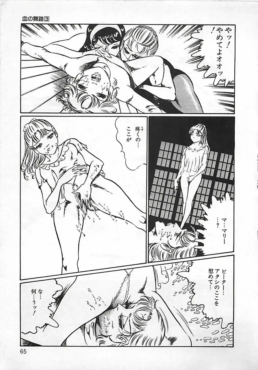 [Dirty Matsumoto] Chi no Butou Fhentai - Page 66