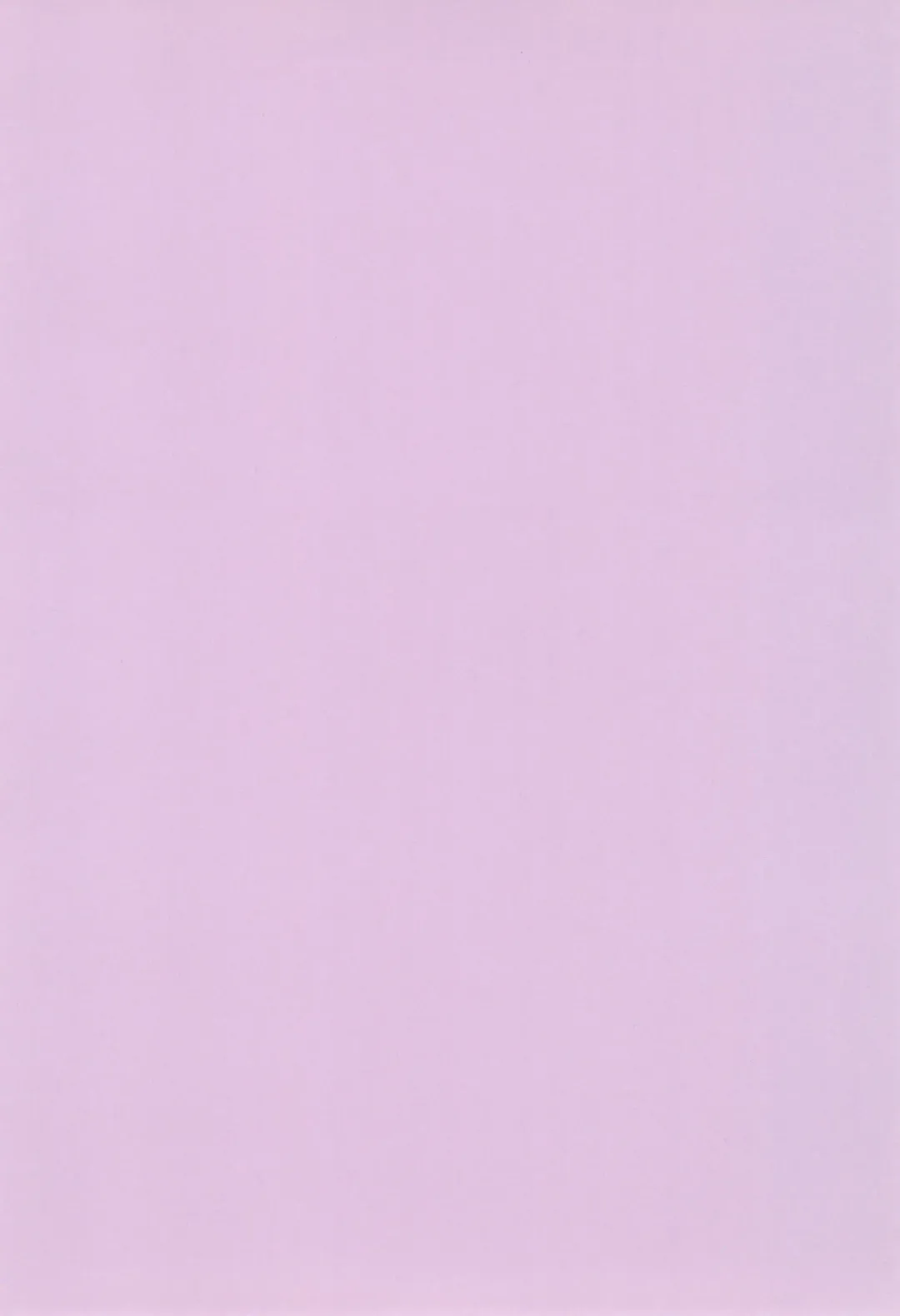 Shojo, Soushitsu shimashita Fhentai - Page 4