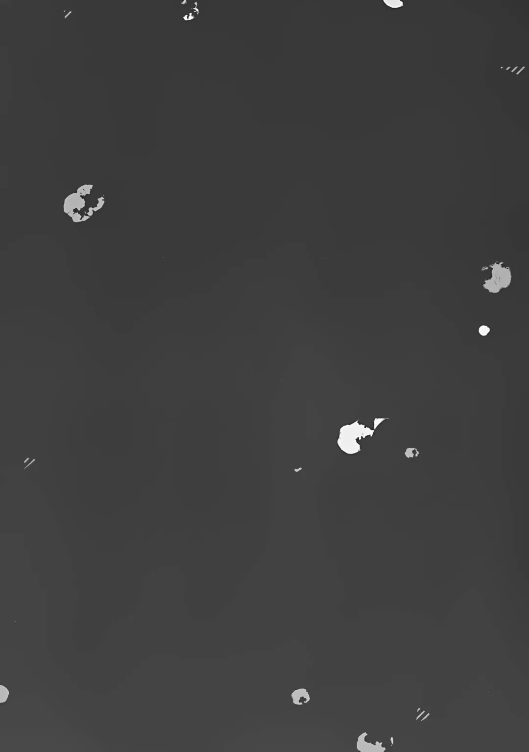 [Amanagi Seiji] Naho-chan Onaho ni Naru Fhentai - Page 3