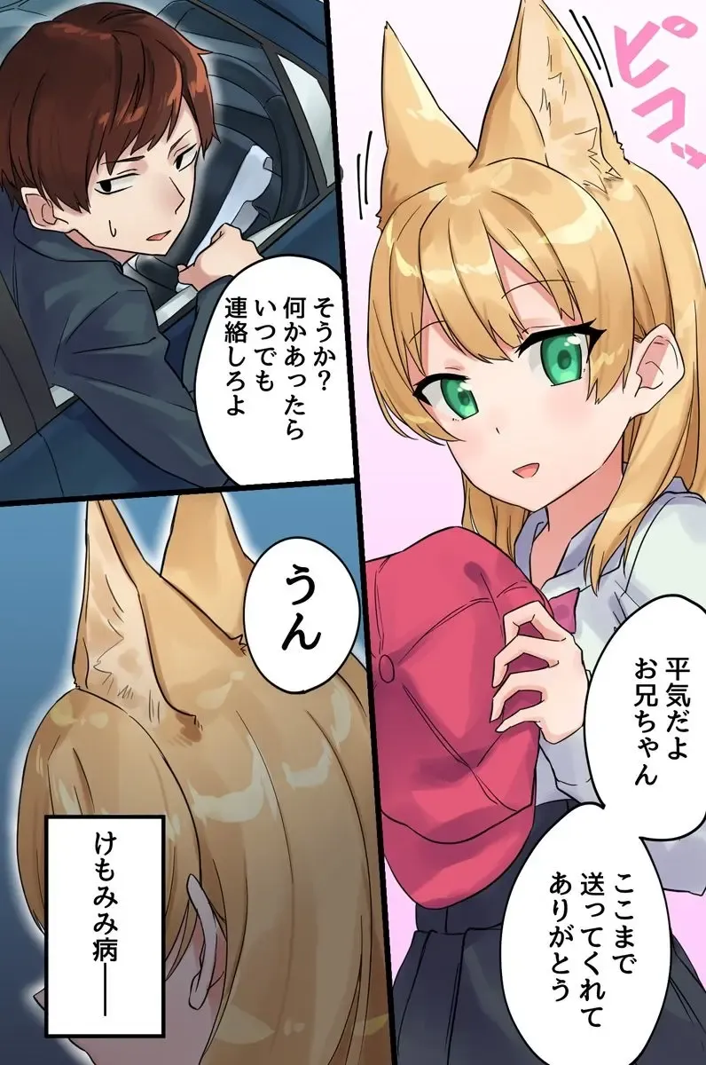 [Shobu] Hatsujou Kemomimi Musume no Kairaku Chiryou ~Chiryou no Tame ni Subete o Ubawareru Musume-tachi~ Fhentai - Page 3