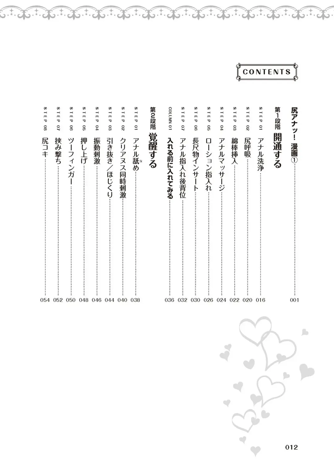 [Akai Yoru - Astroguy2 - Labui] アナル性感開発・お尻エッチ 完全マニュアル イラスト版…尻アナッ！ Fhentai - Page 14