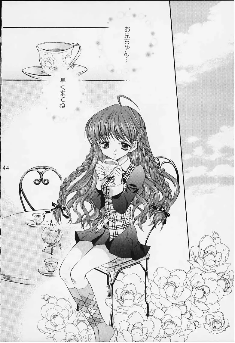 [Nekomi Haruto] 12 cuties Fhentai - Page 42