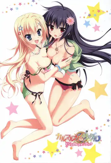 Karumaruka Circle Visual Fan Book Fhentai - Page 3