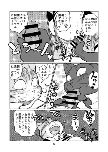 [Maririn] Tora and Kuro Fhentai - Page 12