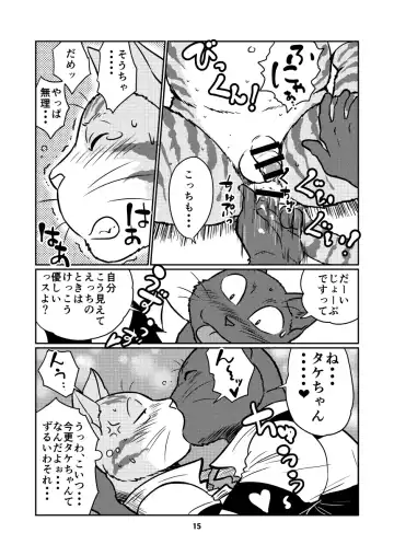 [Maririn] Tora and Kuro Fhentai - Page 15