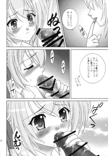 [Aimirucha] Naisho no Seitokai Shitsu Fhentai - Page 13