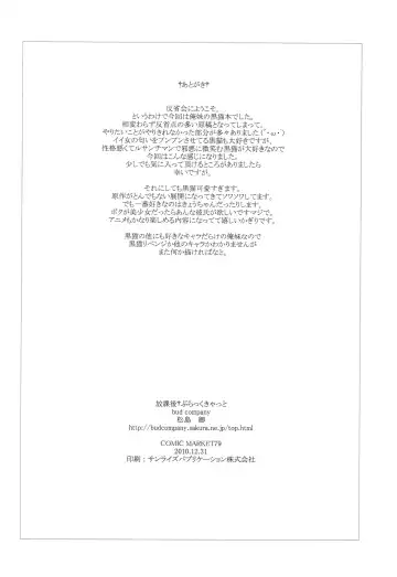 [Matsushima Kei] Houkago Black Cat Fhentai - Page 17