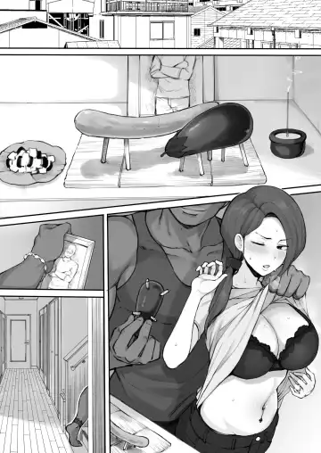 [Terasu Mc] Eromanga Fhentai - Page 3