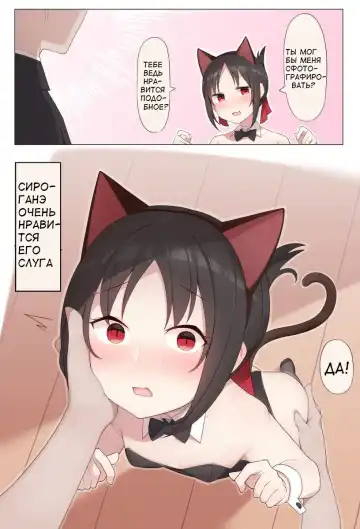 Read [Alapi] Nekomimi no Kaguya-sama - Fhentai.net