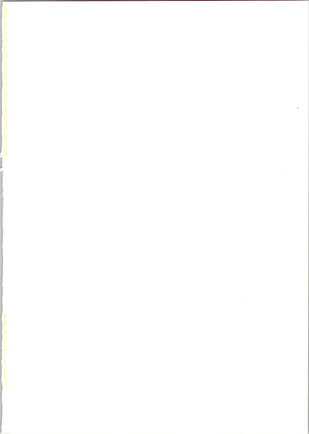 [Irie Yamazaki] IRIE FILE RED Fhentai - Page 2