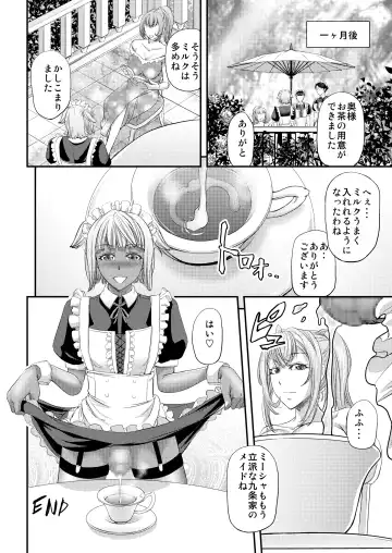 [Kikuichi Monji] Kyuujyougaruyuu Aigan Maid no Shitsukekata Fhentai - Page 25