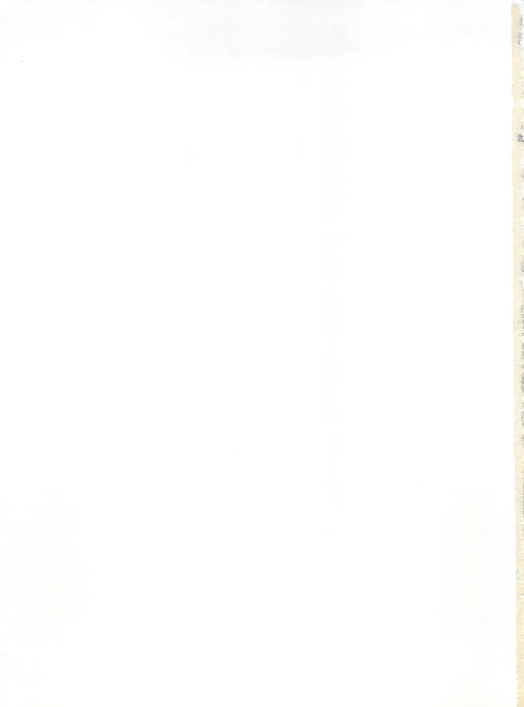 Shin Bishoujo Shoukougun 2 Mirai Hen Fhentai - Page 207