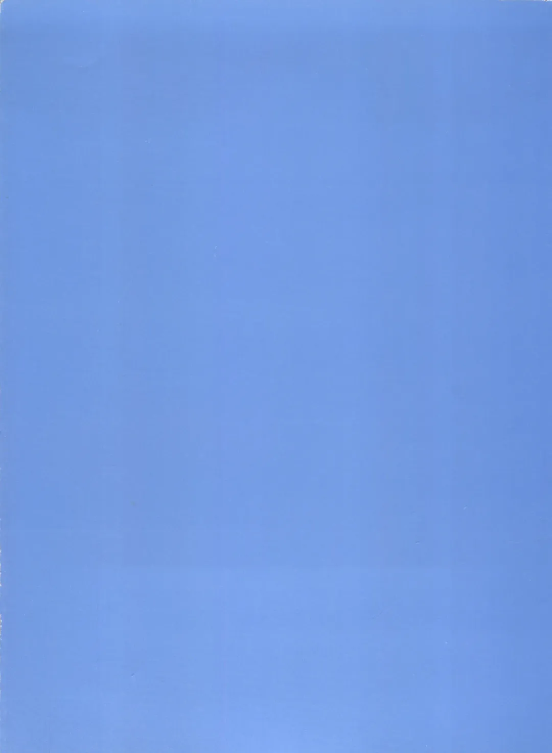 Shin Bishoujo Shoukougun 2 Mirai Hen Fhentai - Page 208