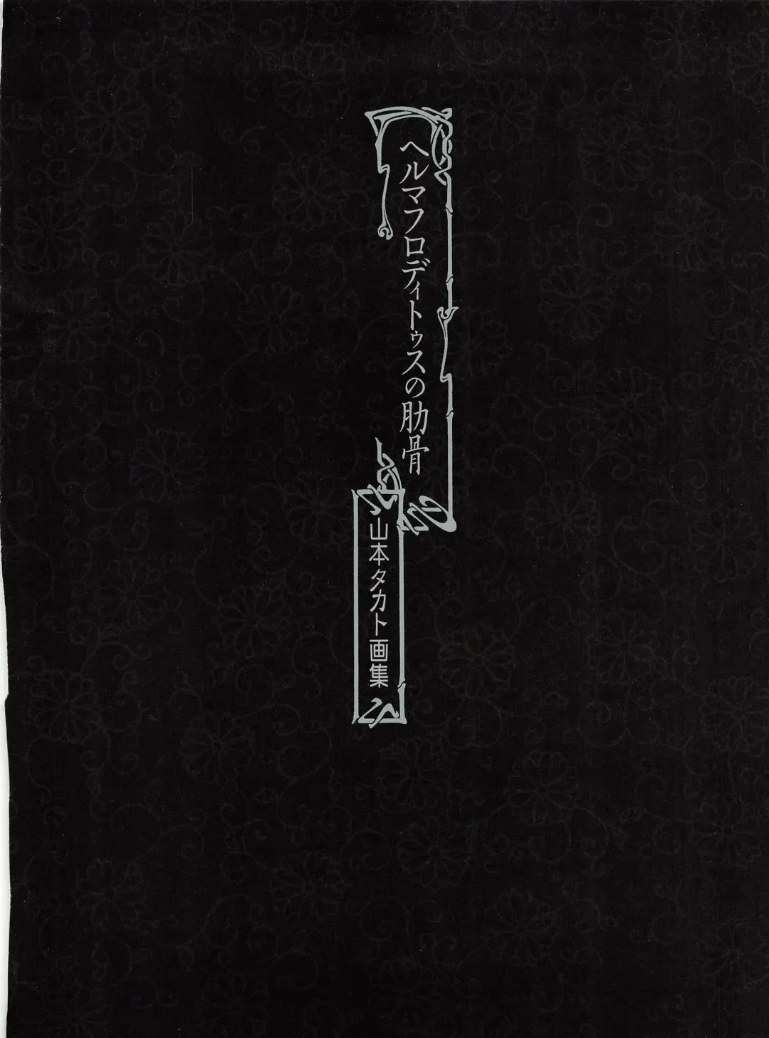 [Yamamoto Takato] Takato Yamamoto - Rib of a Hermaphrodite Fhentai - Page 6