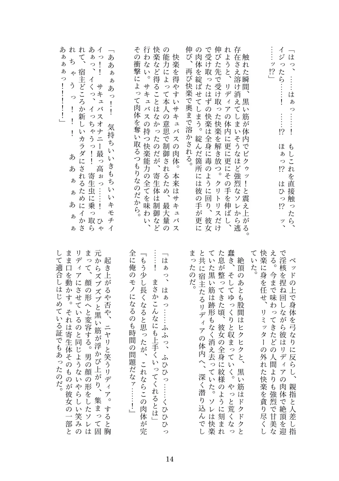 [Metako] Succubus Kisei nottori Fhentai - Page 13