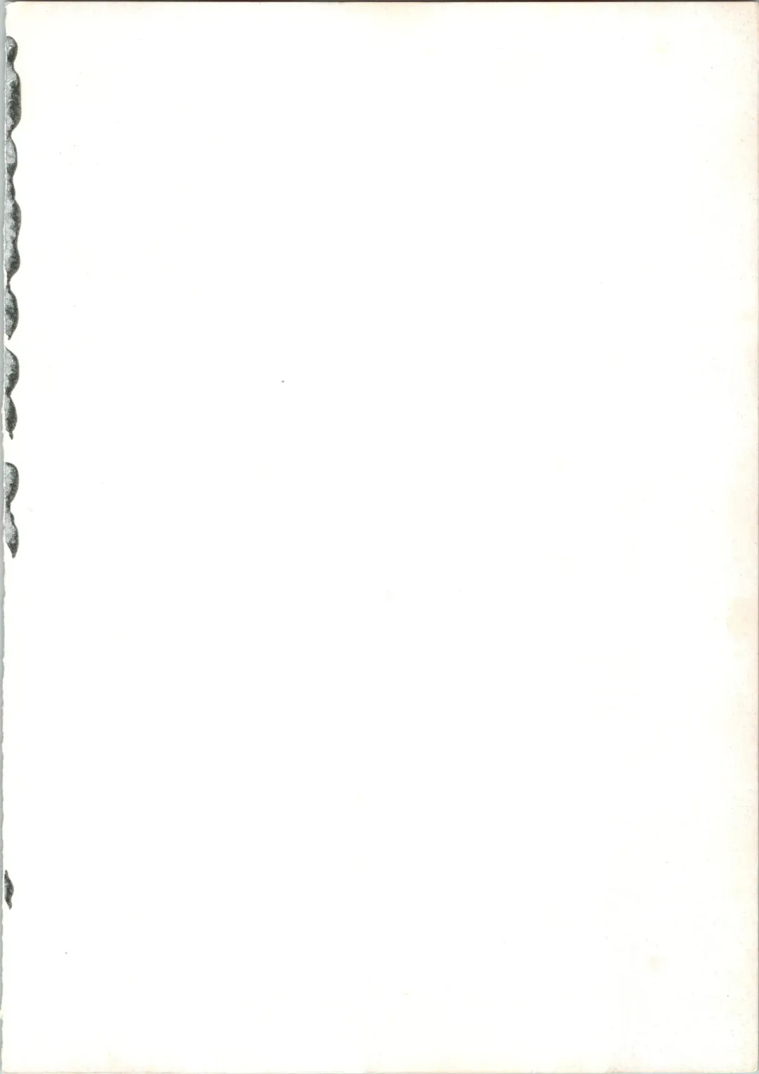 [Merubo Run] Airei Fhentai - Page 2