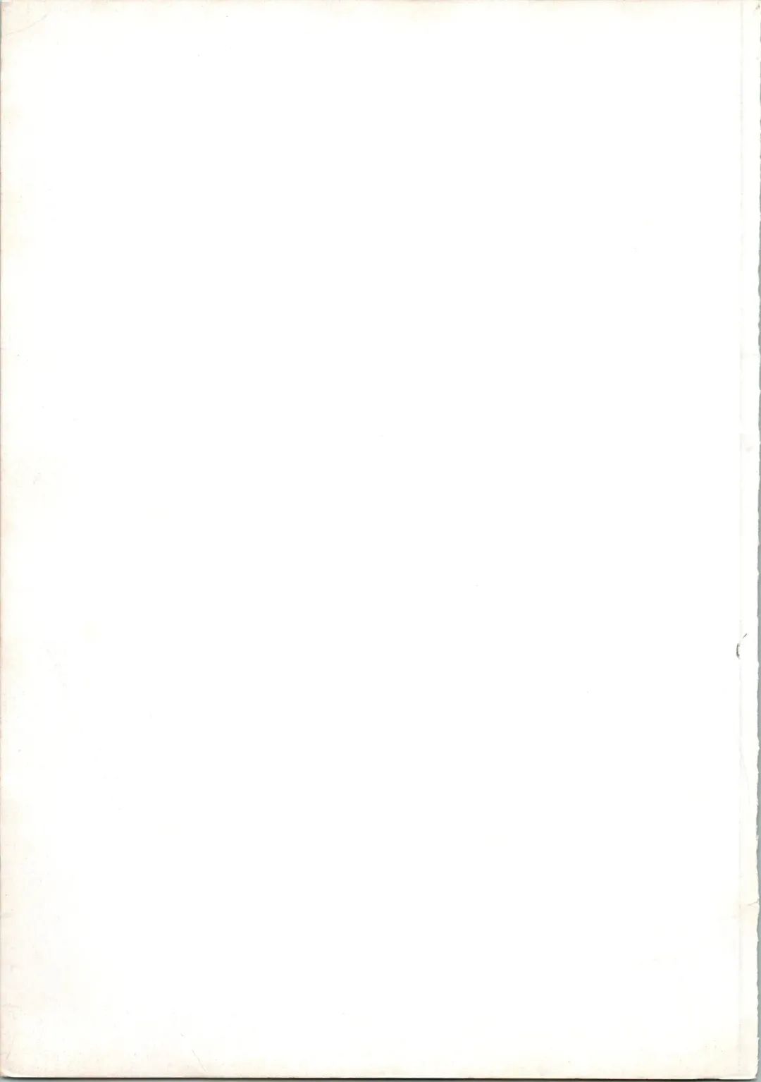 [Merubo Run] Airei Fhentai - Page 71