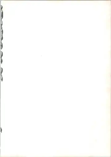 [Merubo Run] Airei Fhentai - Page 2