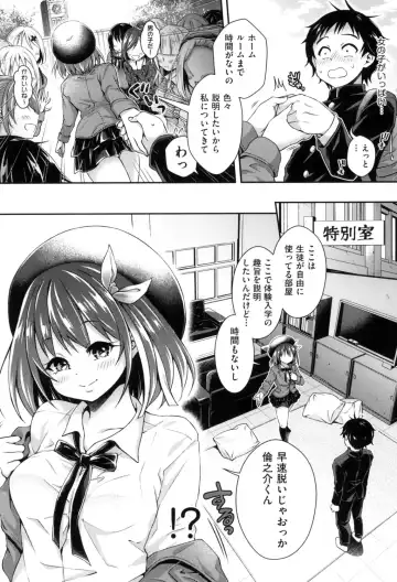 [Hachigo] Harem Jogakuin Taiken Nyuugaku Fhentai.net - Page 10