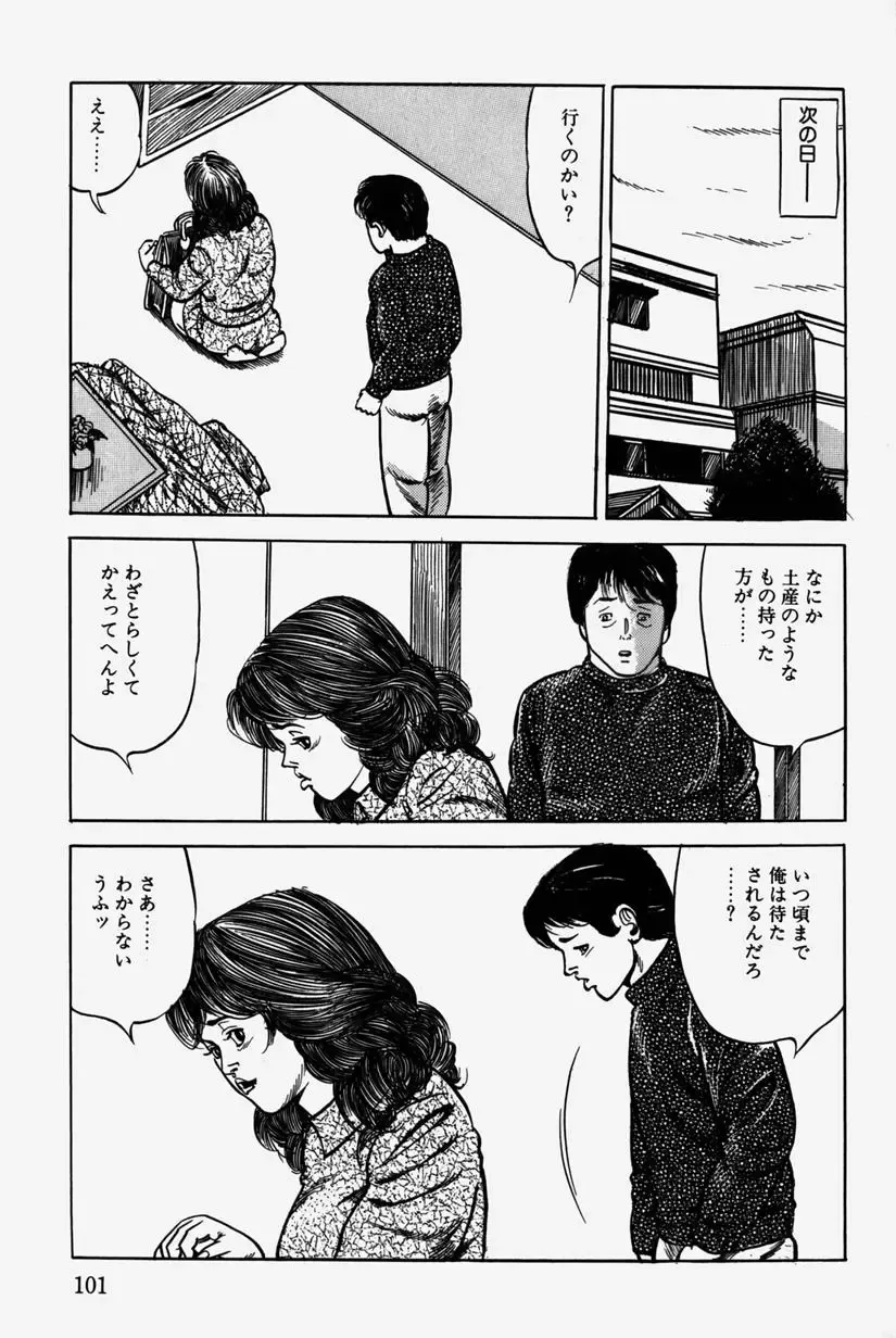 [Misawa Shin] Hitozuma Kinshin Soukan Fhentai - Page 104