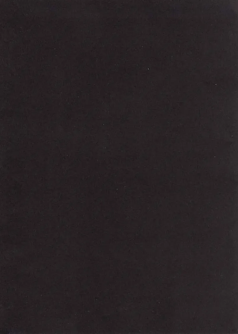 [Ichigo Mark] Wan Ryuumin Nyuujoku Fhentai - Page 2