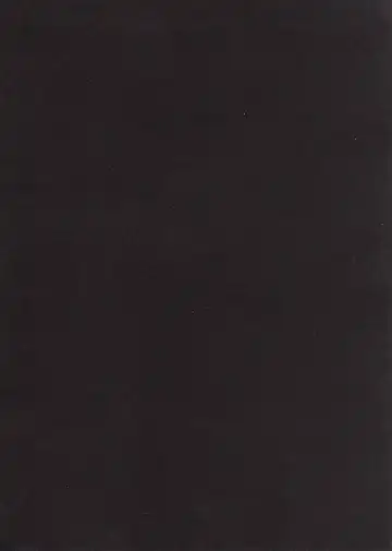 [Ichigo Mark] Wan Ryuumin Nyuujoku Fhentai - Page 2