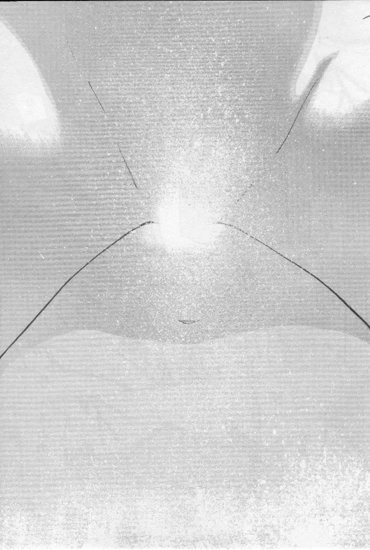 [Tanaka Yutaka] Virgin Night 2 Fhentai - Page 49