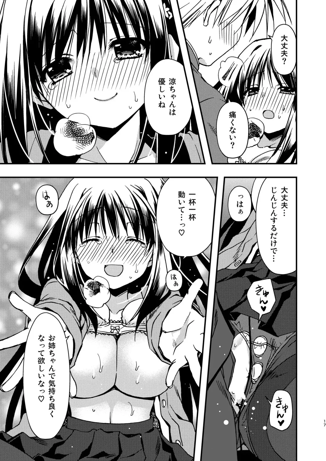 [Ryuga Syo] Onee-chan to Fhentai - Page 17