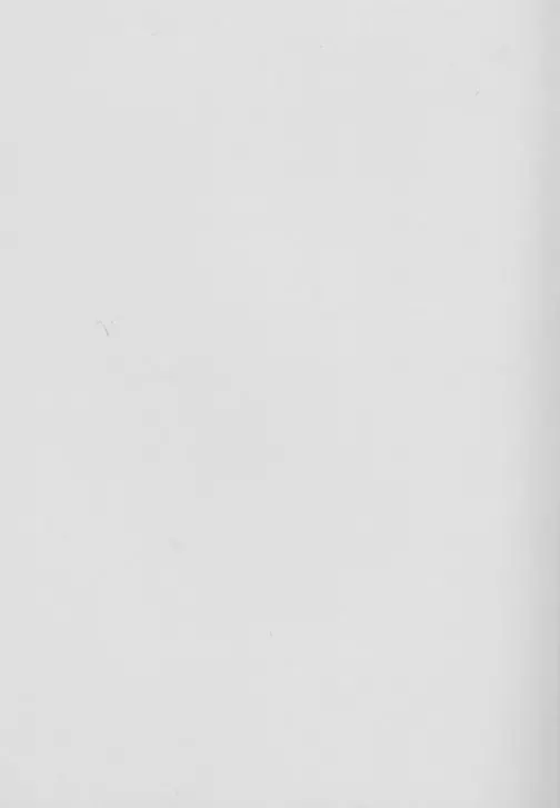 [T.k-1] Rough vol. 19 Fhentai - Page 15