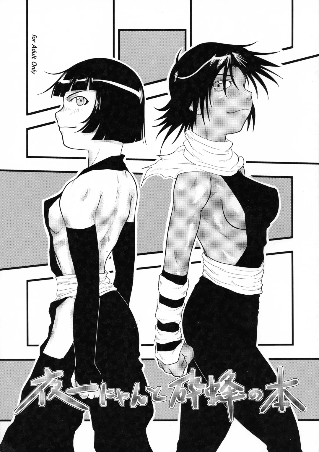 [Seijirou Kagechika] Yoruichi Nyan to Soi Fon no Hon Fhentai - Page 1