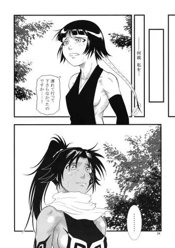 [Seijirou Kagechika] Yoruichi Nyan to Soi Fon no Hon Fhentai - Page 24