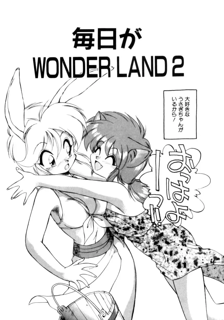 [Ebifly] Mainichi ga Wonderland Fhentai.net - Page 23