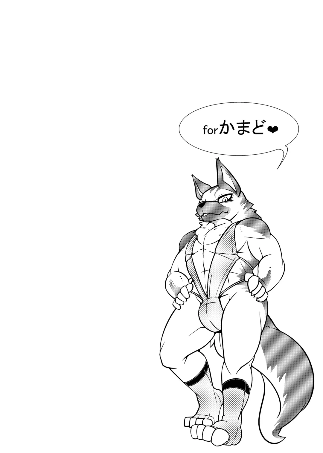 ♂ Kemo Lingerie Book Fhentai - Page 49