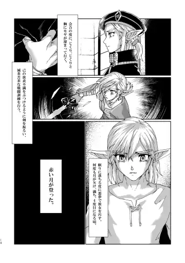 [Shiroa Urang] Muphrid Fhentai - Page 12