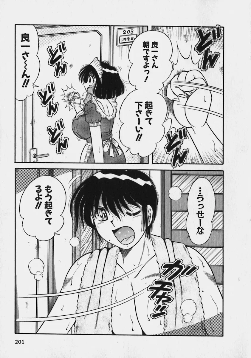 [Umino Sachi] Lovely Maid Fhentai - Page 201