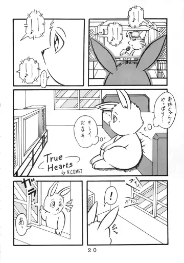 [Chibineco Master - Nyantarou - Scope Cat] Tokimeite Wannyan Fhentai - Page 19