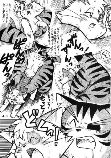 [Chibineco Master - Nyantarou - Scope Cat] Tokimeite Wannyan Fhentai - Page 42