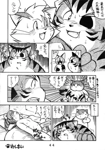 [Chibineco Master - Nyantarou - Scope Cat] Tokimeite Wannyan Fhentai - Page 43