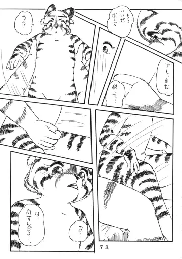 [Chibineco Master - Nyantarou - Scope Cat] Tokimeite Wannyan Fhentai - Page 72