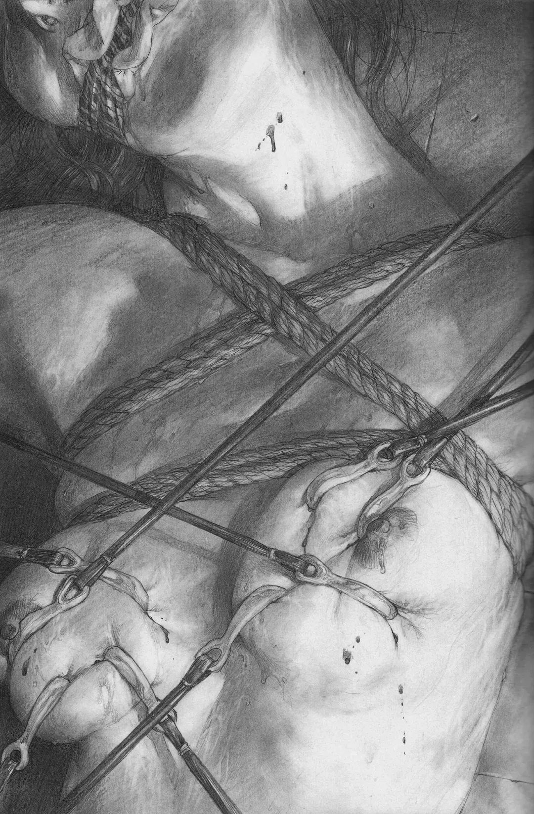 [Samura Hiroaki] Hitodenashi no Koi - The love of the brute Fhentai - Page 18