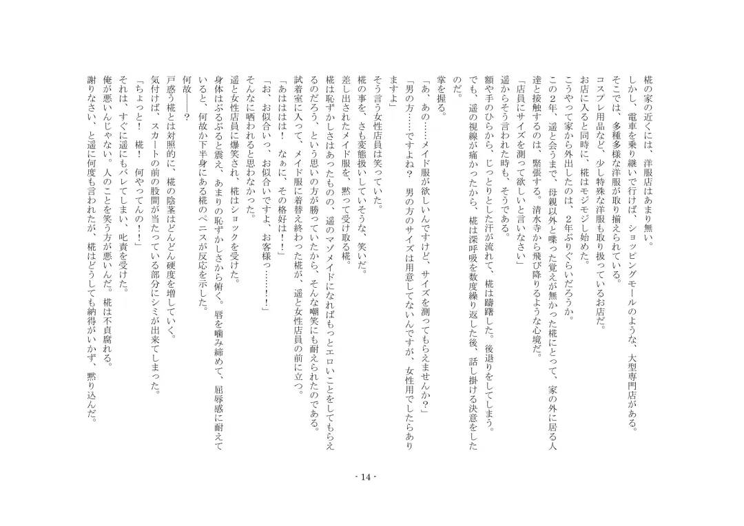 [Sinzan] Boku ga Enemagra de, Josou Maso Dorei ni Ochita Keii. Fhentai - Page 14