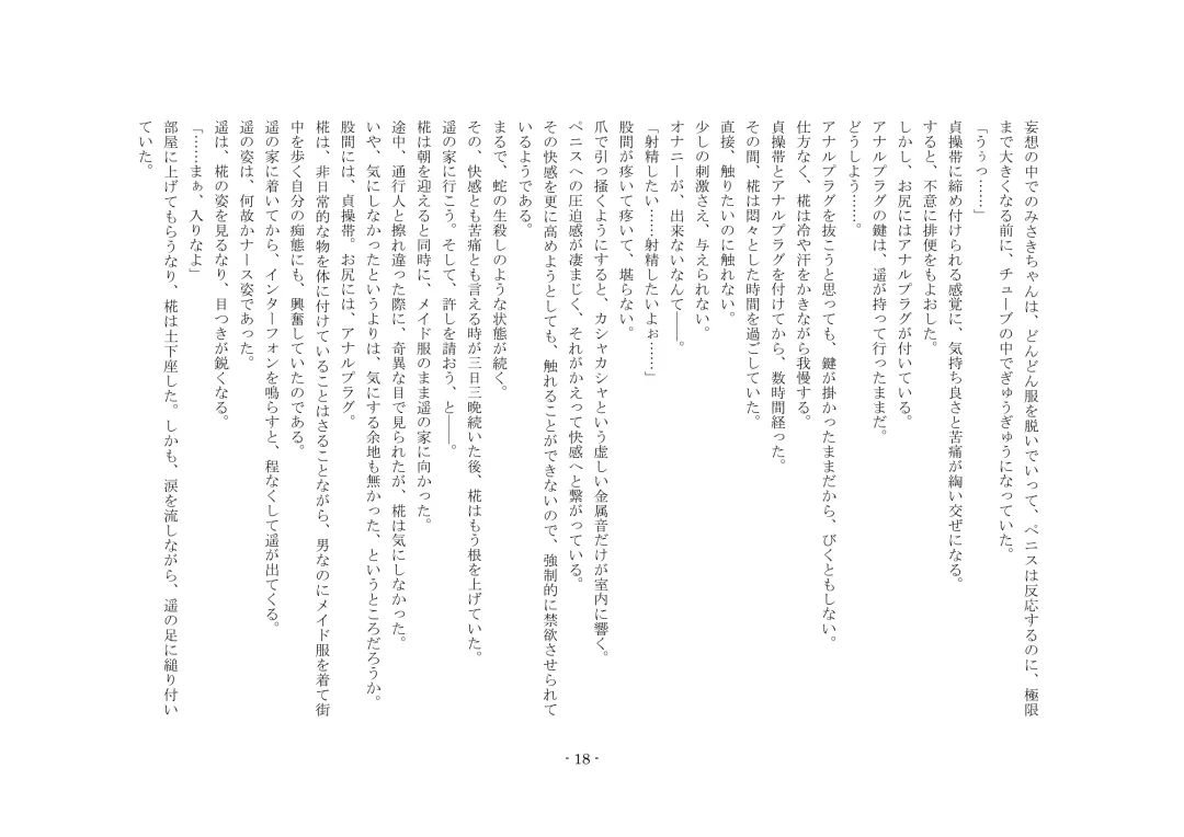 [Sinzan] Boku ga Enemagra de, Josou Maso Dorei ni Ochita Keii. Fhentai - Page 18