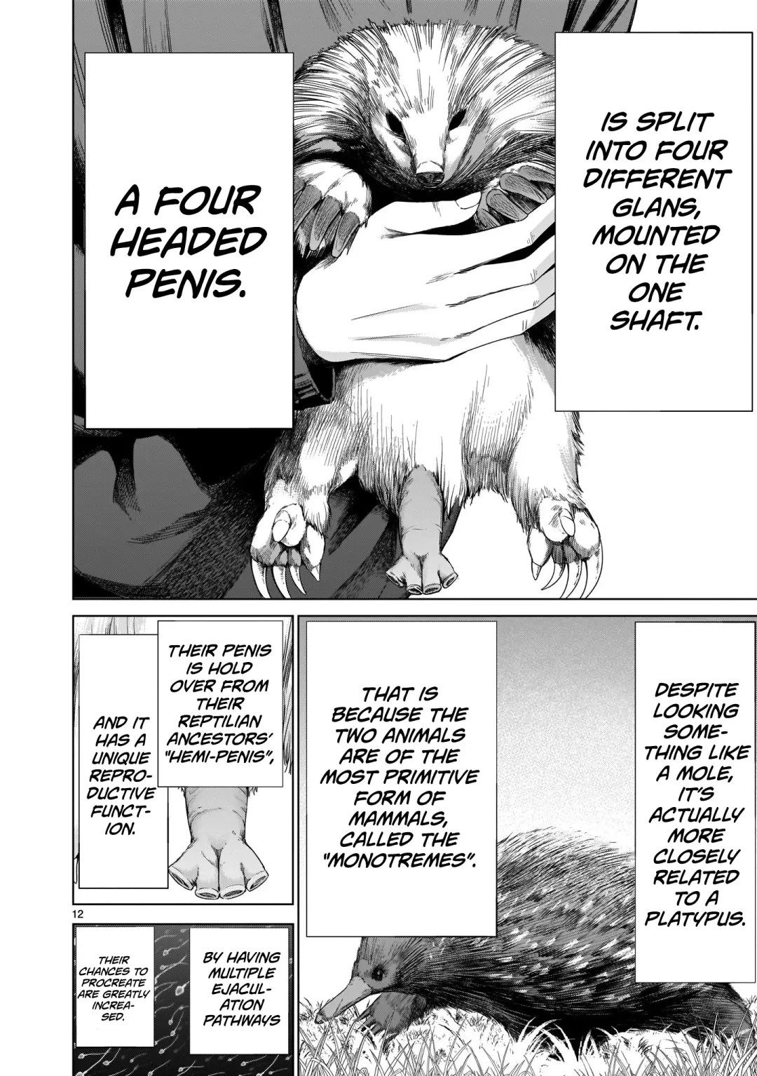 [Sumita Kazuasa] Isn't It Too Much? Inaba-san/Hoshi Gari Sugidesho? Inaba-san chapter 2 Fhentai.net - Page 11