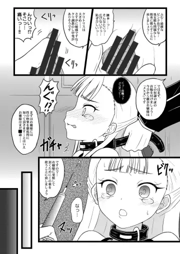 [Hidaka Toworu] Ojou-sama no Hensai Keikaku Fhentai - Page 10