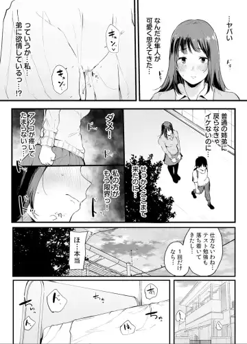 [Sakurayu Hal] Otouto ni Ero Manga to Onaji Koto o Sarechau Onee-chan no Hanashi 2 Fhentai - Page 45