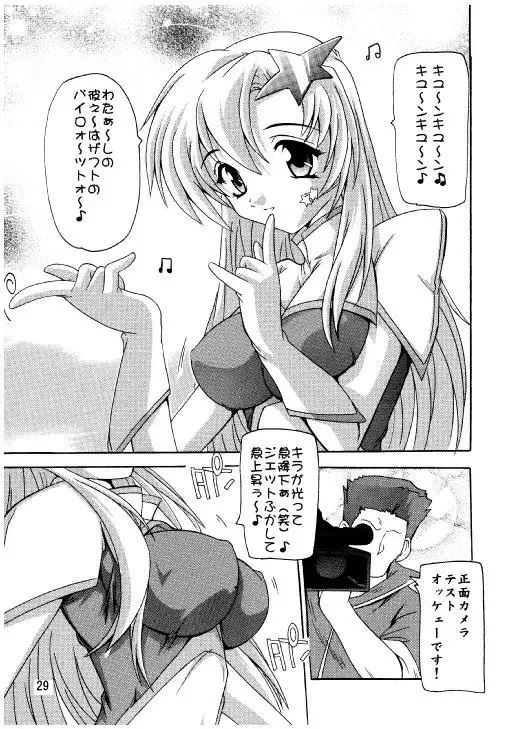 [Natsuka Q-ya] Lacus Destiny - Soushuuhen 2 Fhentai.net - Page 26