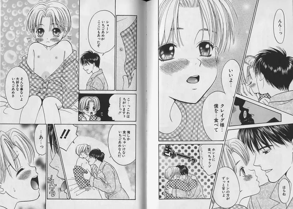 [Cj Michalski] Boku no Goshuujin-sama ~AS YOU WISH~ Fhentai - Page 45