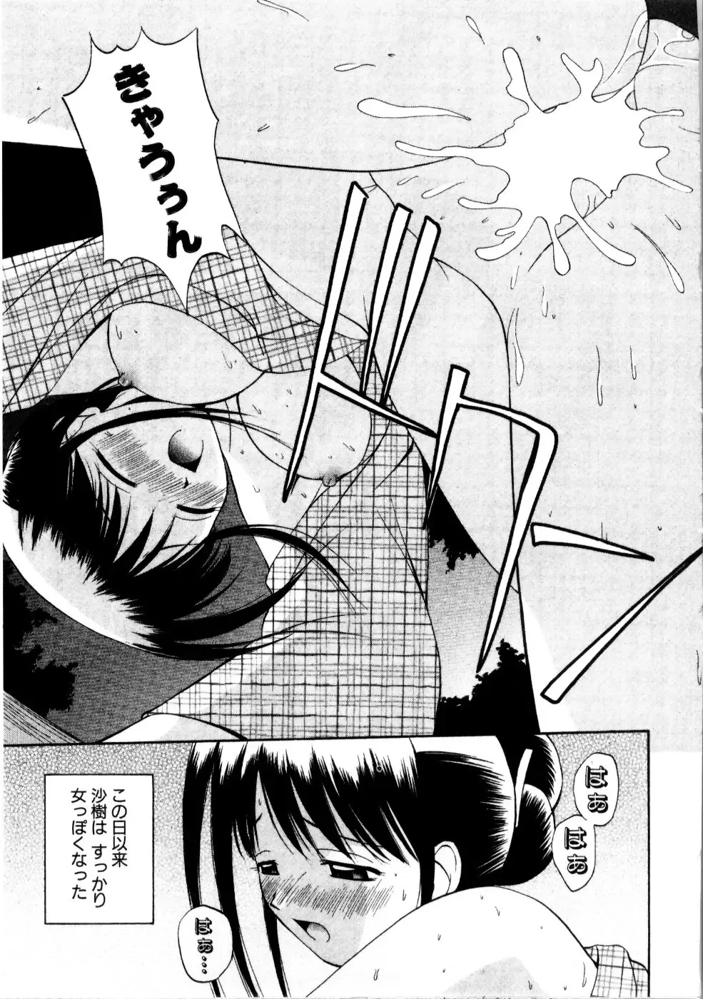 [Satou Chagashi] Multi Style Fhentai - Page 141